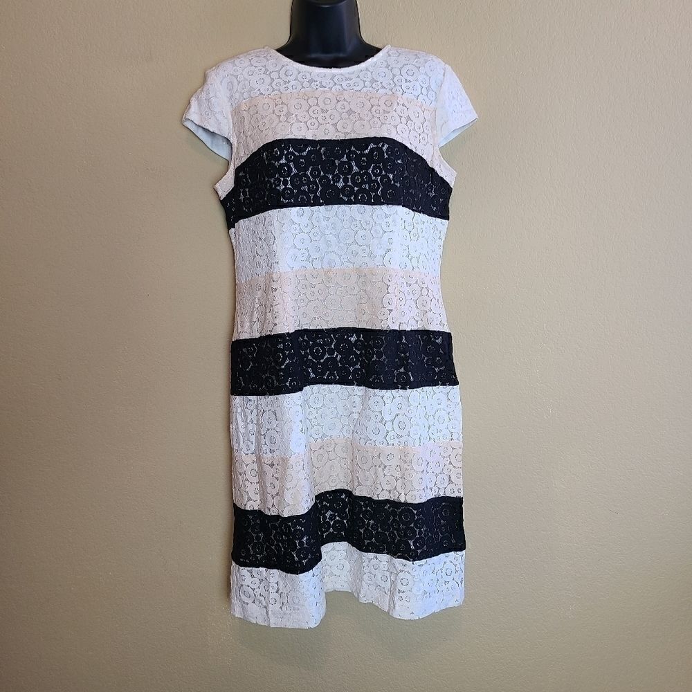 Sandra Darren Cap Sleeve Lace Dress